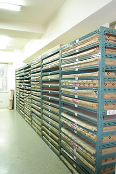 huage1